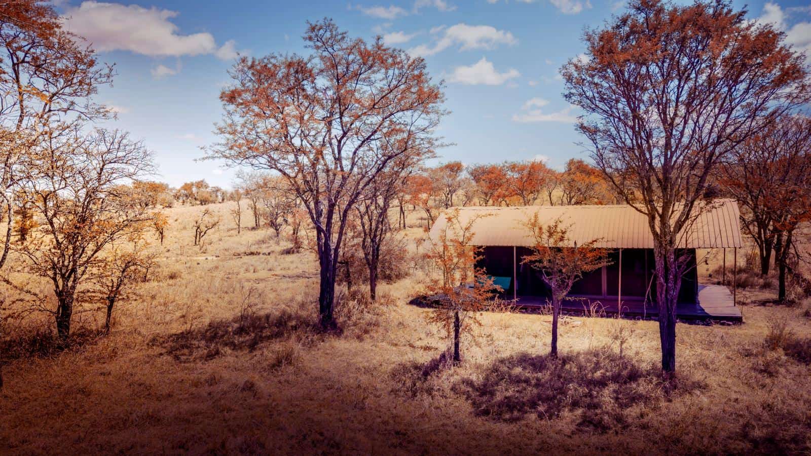 Secluded luxury safari tent set among trees in the Serengeti bush, Tanzania