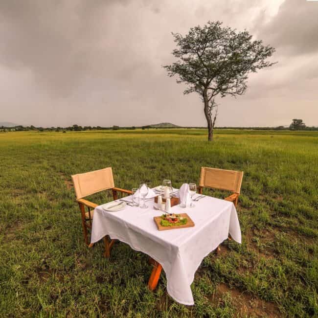 Private dining table for two set on the open Serengeti plains beneath an acacia tree, Tanzania