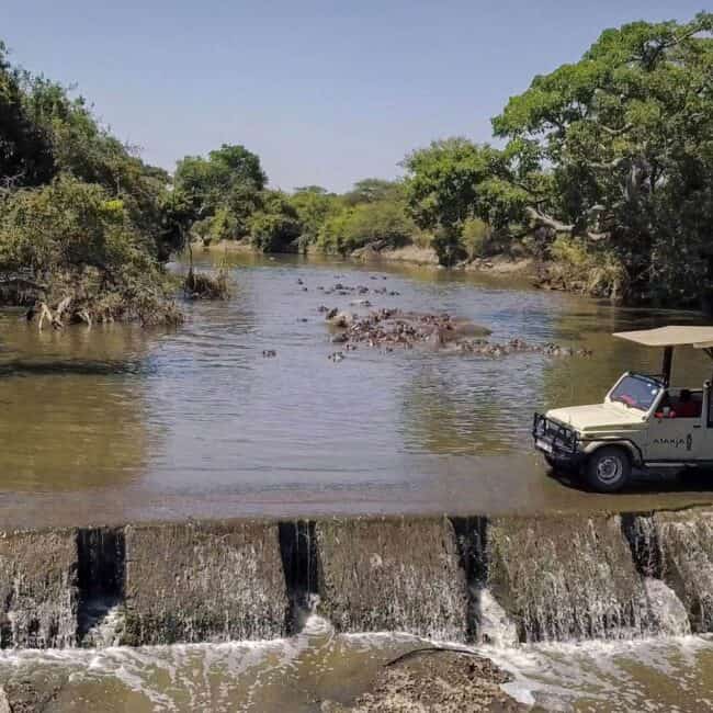 Safari vehicle beside a river full of hippos by a small weir in the Serengeti, Tanzania