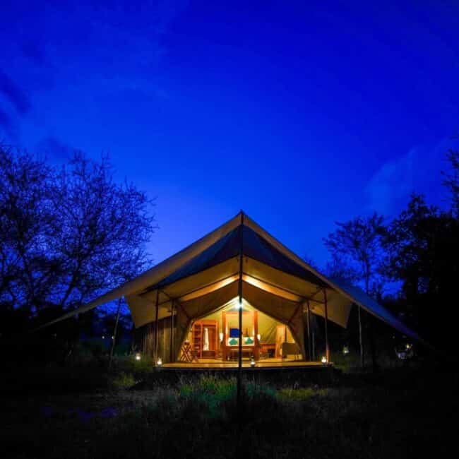 Luxury safari tent glowing at twilight in the Serengeti bush, Tanzania