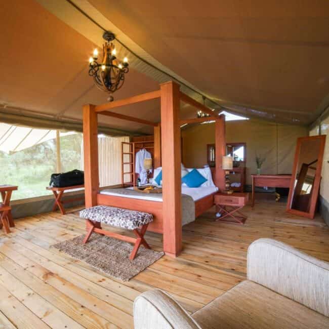Spacious luxury safari tent interior with four-poster bed and hardwood floors, Serengeti, Tanzania
