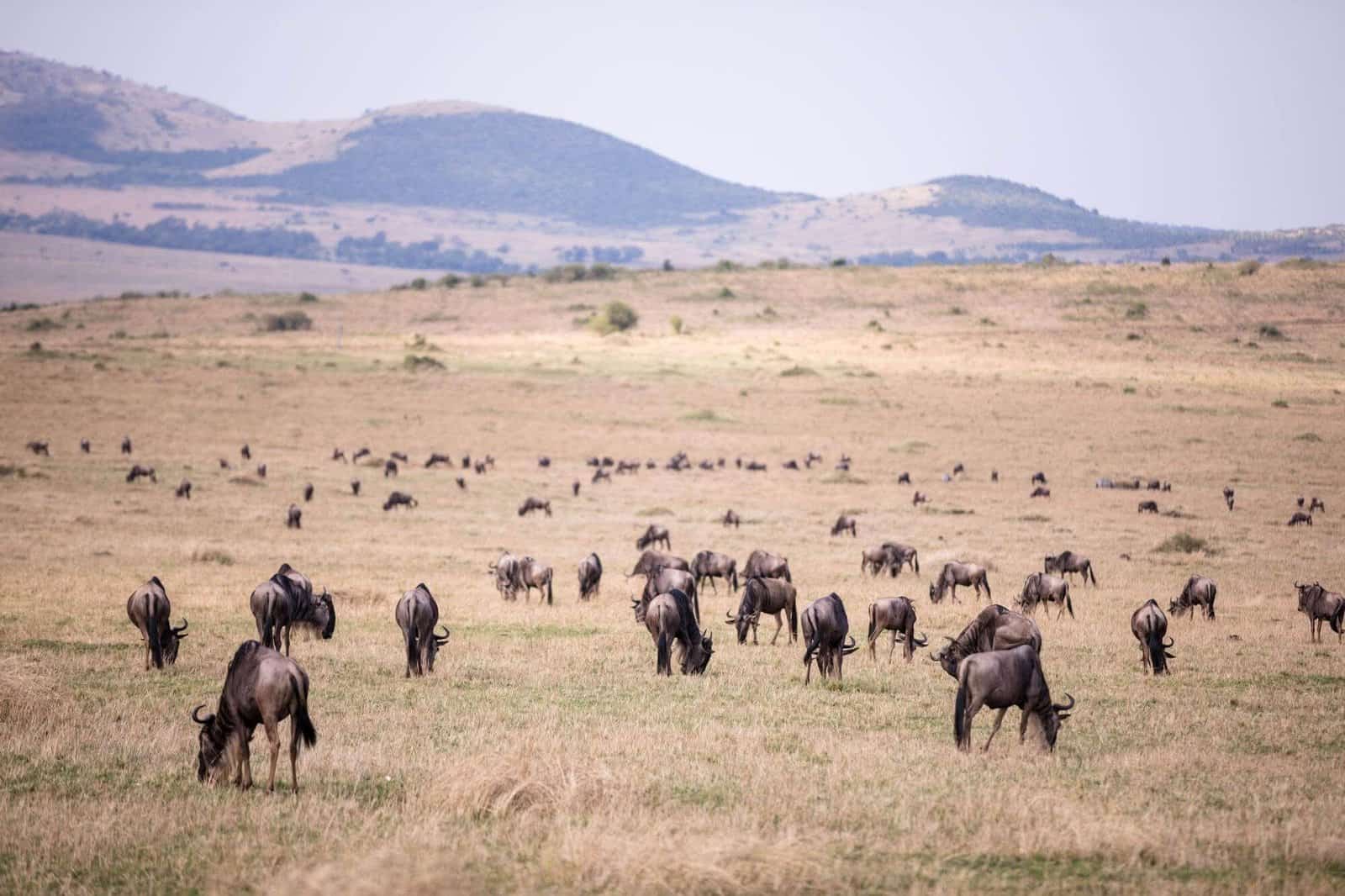 Tanzania in East Africa
