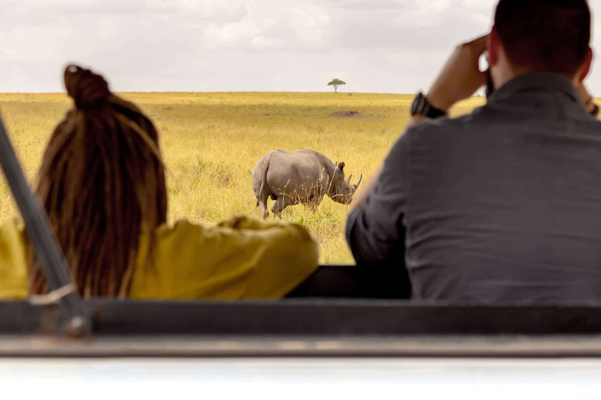 Couple on a Serengeti safari game drive watching a rhinoceros in Tanzania's vast grasslands.